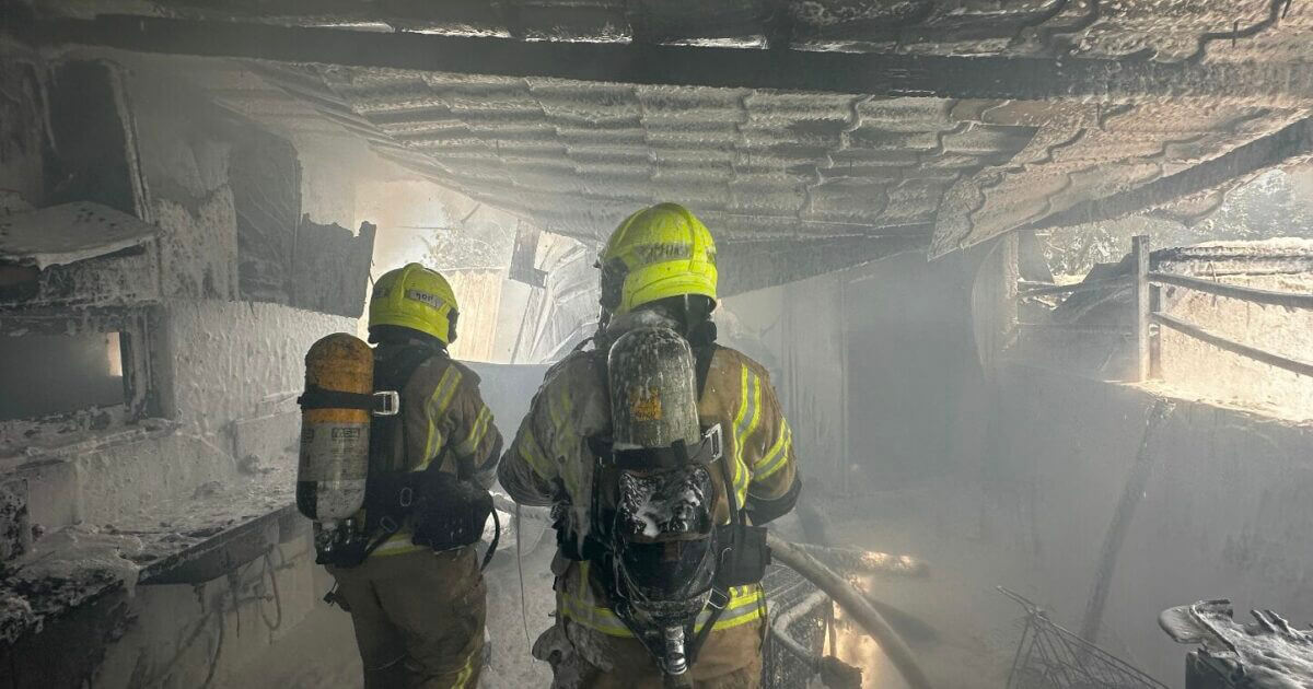 צילום מסך 2024-09-14 ב-19.32.13