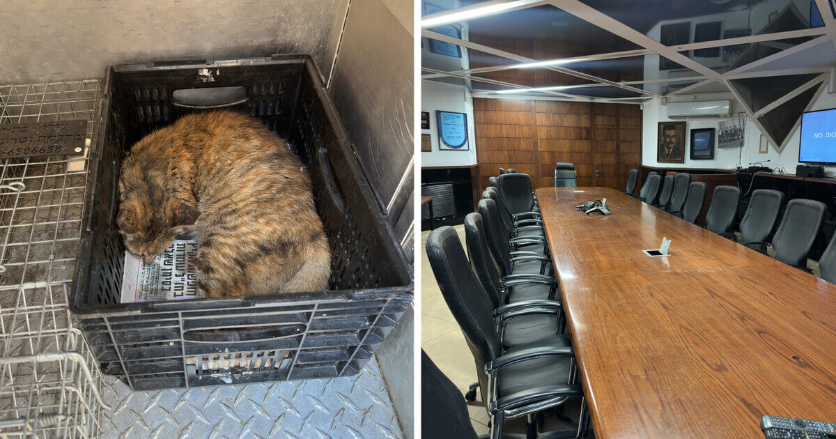 עיריית בת ים