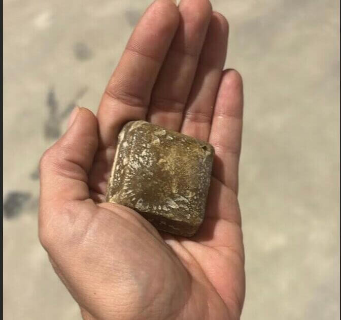 צילום מסך 2025-11-16 ב-12.00.57